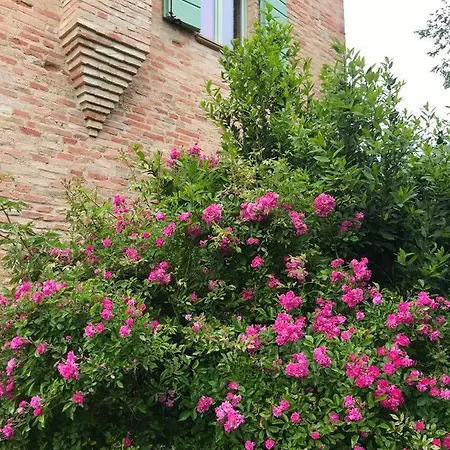 Casa Delle Rondini