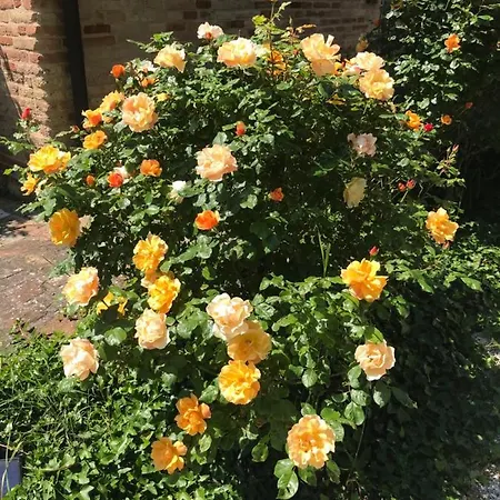 Casa Delle Rondini 度假居 *