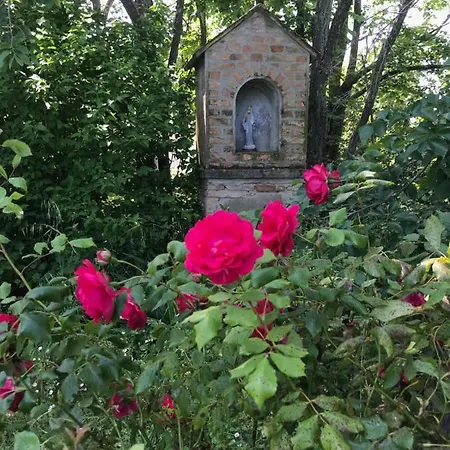Casa Delle Rondini * Carignano (Marche)